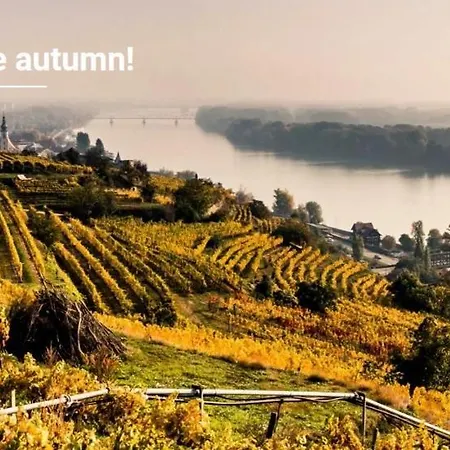 Hagmann's Altstadt 2 * كريمس ان دير دوناو